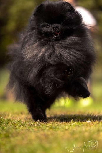 att.OEMlbDj2d1IRkDRqCzUwyJ1hwPcpT2hEdOhaRNo5j-c.jpg